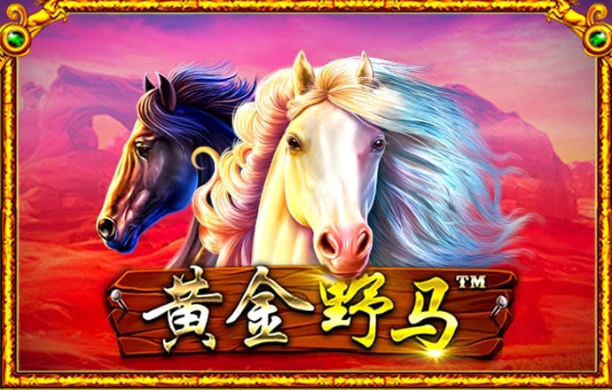 忆博体育app