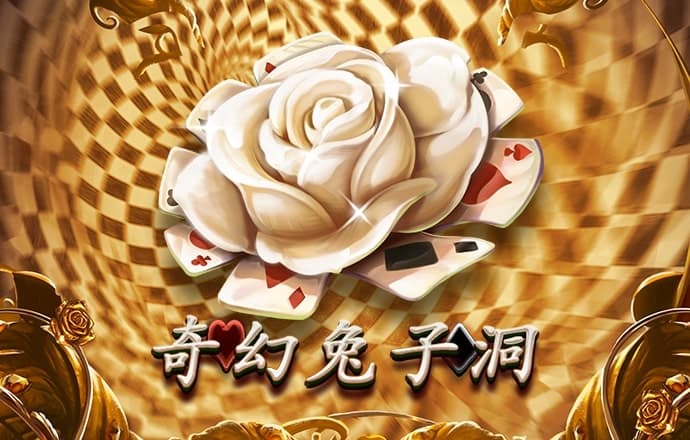 爱游戏登录入口网页版平台