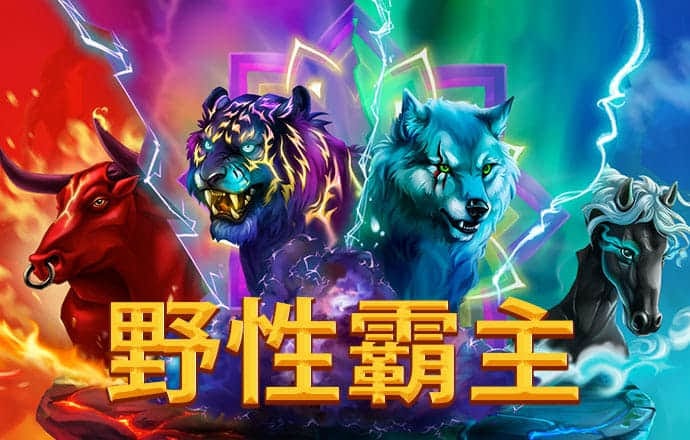 新爱体育app官网入口
