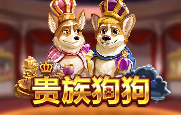 金年汇app官方金年会